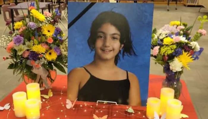 رویای آنیسا؛ بورسیه تحصیلی به افتخار قربانی ده ساله سانحه سقوط هواپیما