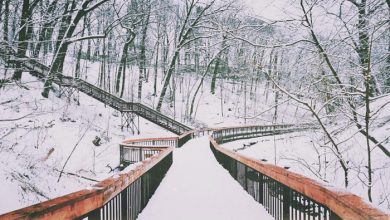 ۱۱مکان مناسب برای یک پیاده‌روی آرام زمستانی در تورنتو