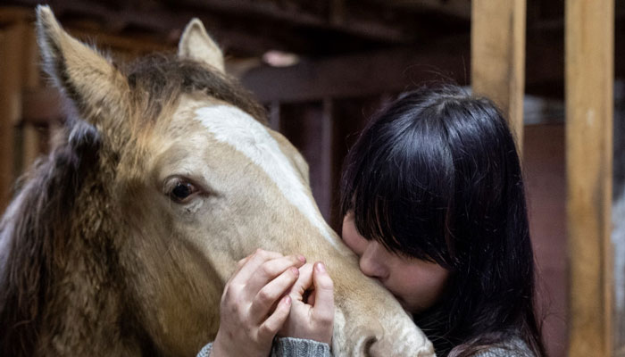 کانادا گوشت اسب تولید می‌کند؛ کنشگران در تلاشند این روند را تغییر دهند